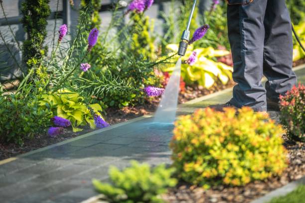 Best Gutter Cleaning  in Orange City, FL
