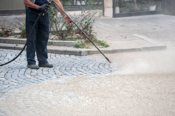 Best Pre-Holiday Cleaning  in Orange City, FL